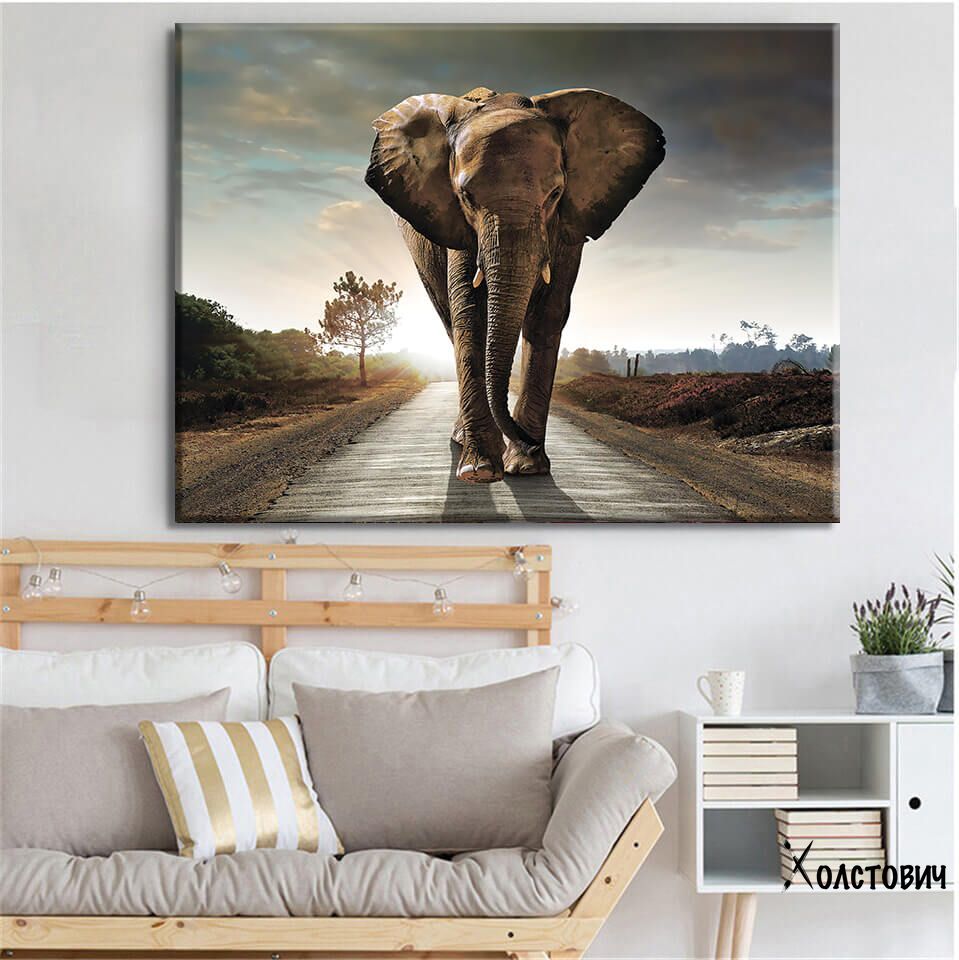 Картина Road for Elephant