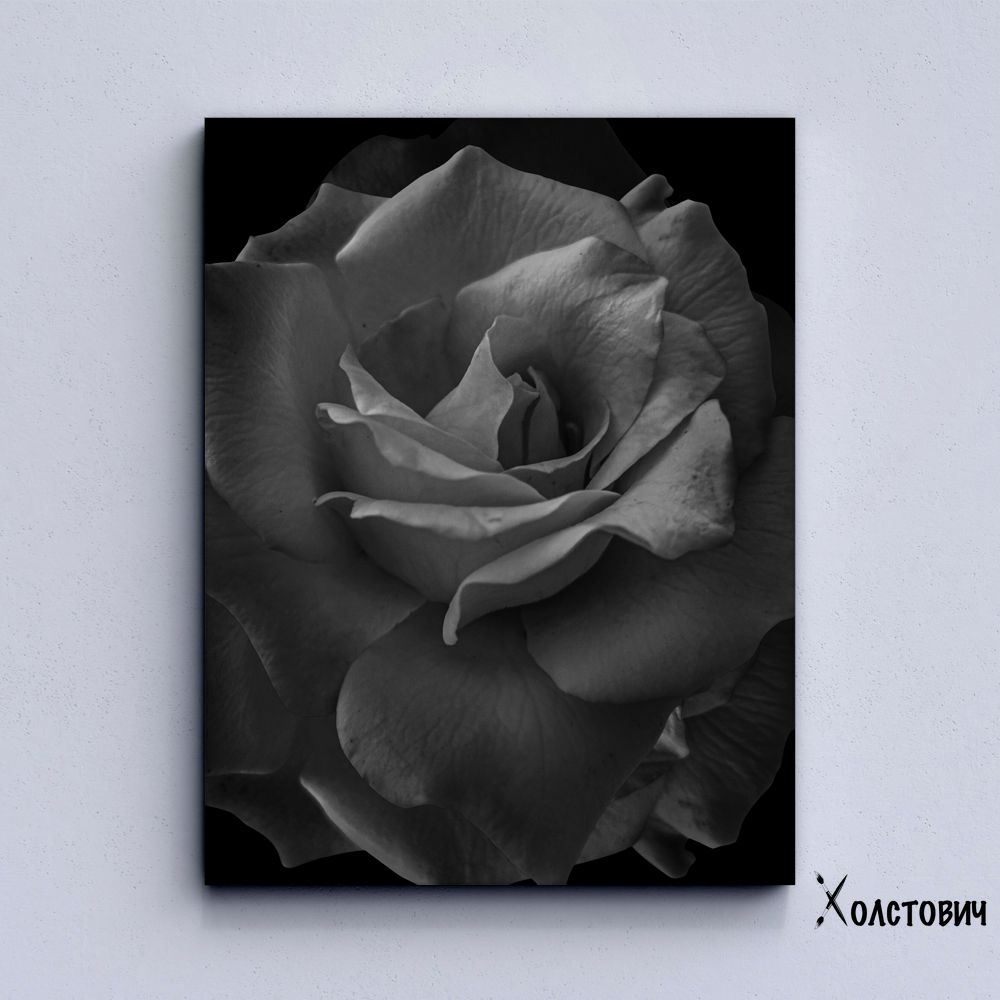 Картина Black rose