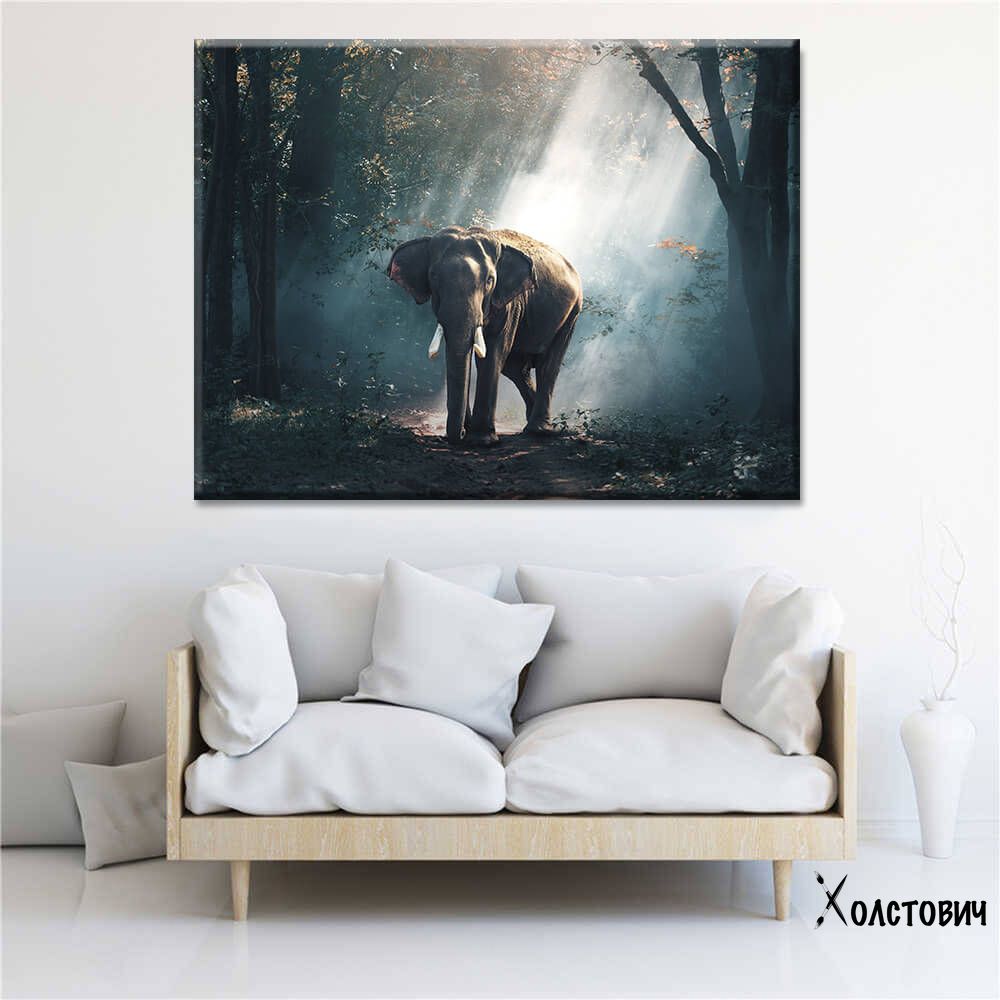 Картина Elephant in Forest